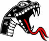 Venom Snake Head Reflective Sticker – Hand-Crafted Waterproof Vinyl Decal for Cars, Trucks, Windows, Laptops & More, 2 Pack