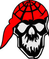 Pirate Skull Head vinyl decal sticker for windows and notebooks - Ashteekers